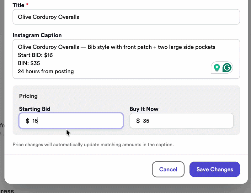 Example item with starting bid and BIN price fields