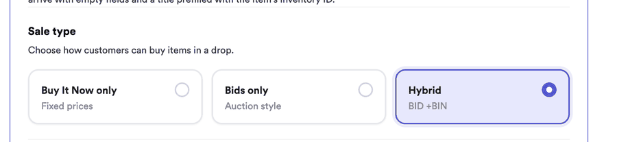 Sale type setting with Buy It Now only, Bids only, and Hybrid options